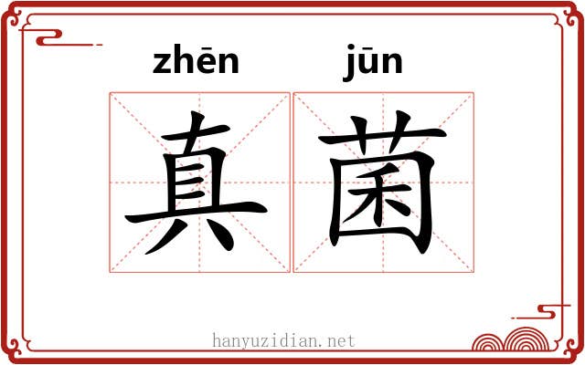 真菌