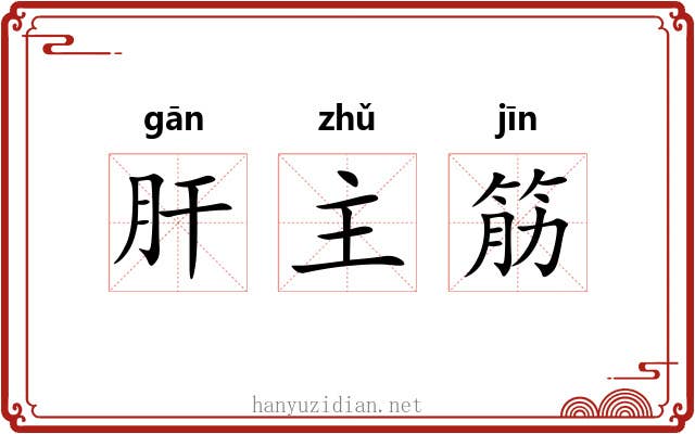 肝主筋 肝主筋