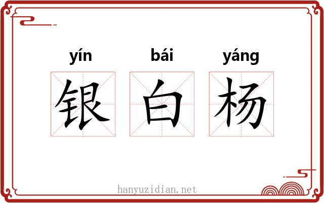 银白杨