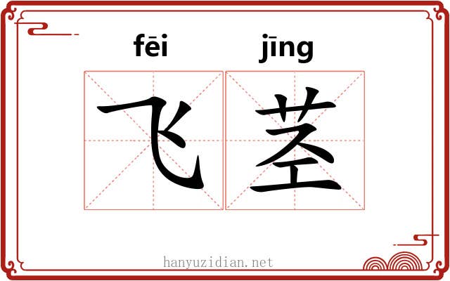 飞茎