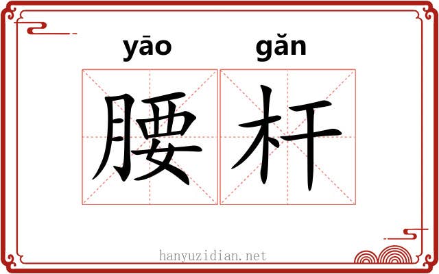 腰杆