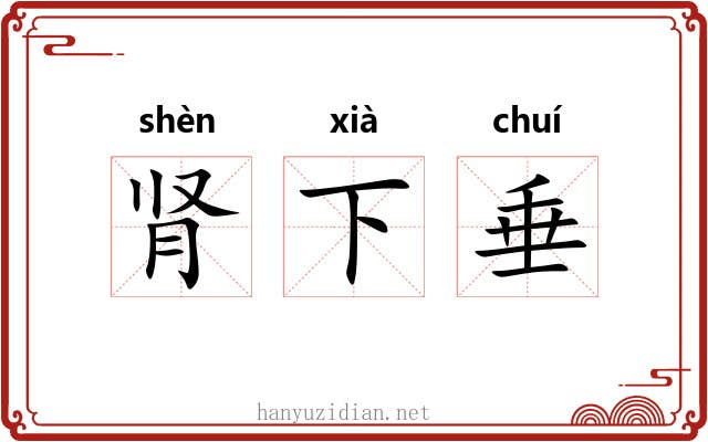 肾下垂 肾下垂