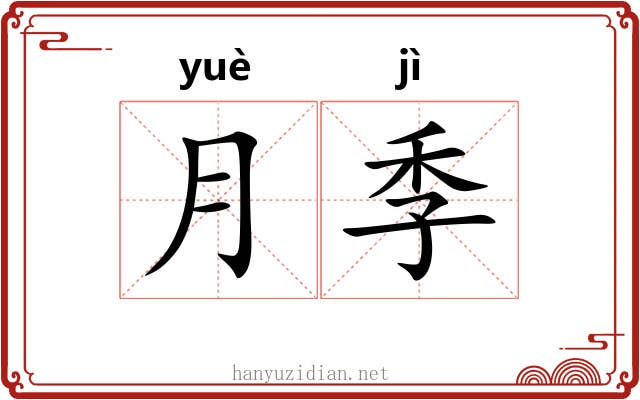 月季 月季