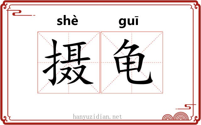 摄龟