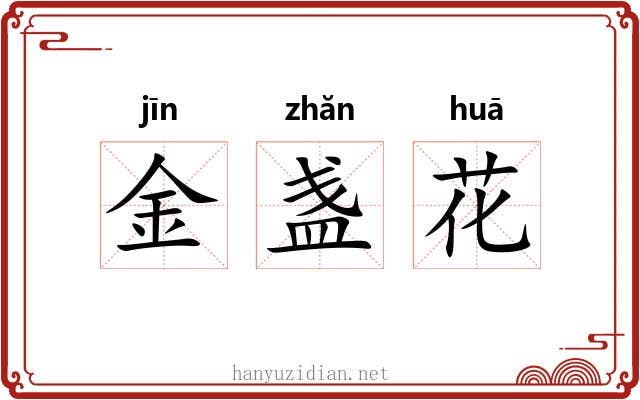 金盏花 金盏花