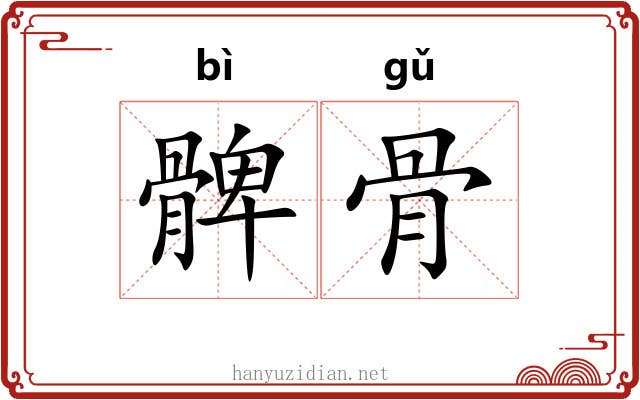 髀骨 髀骨