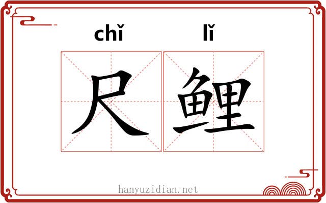 尺鲤