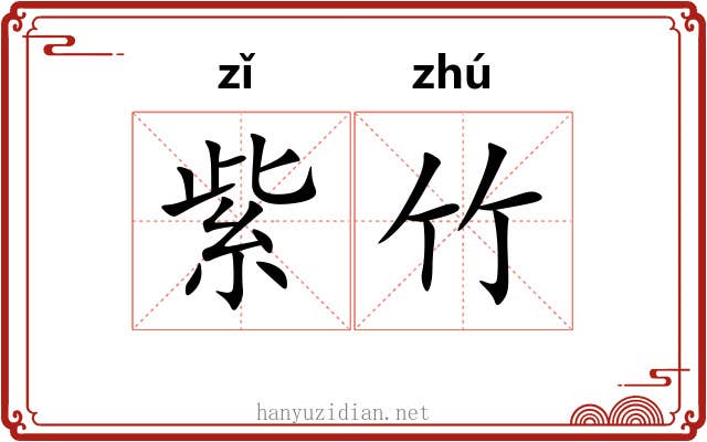 紫竹 紫竹