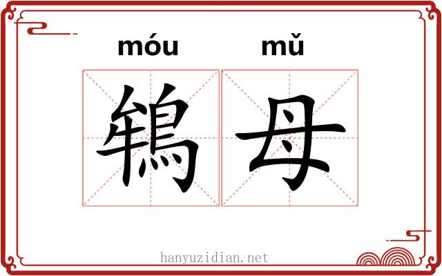 鴾母