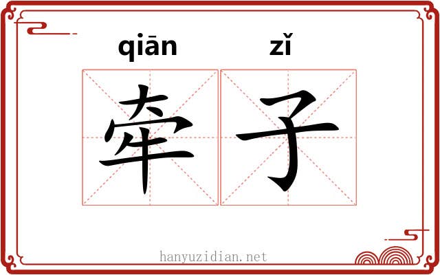 牵子