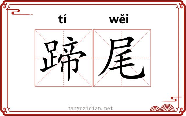 蹄尾