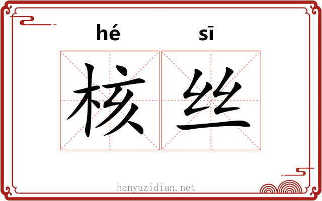 核丝
