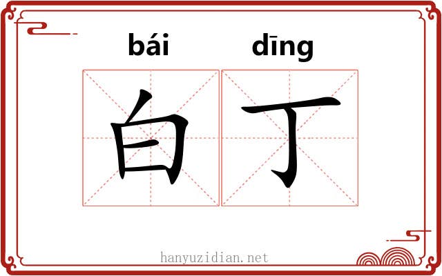 白丁
