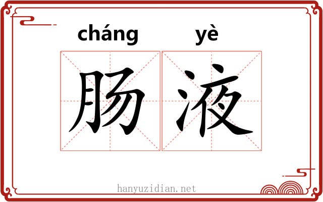 肠液