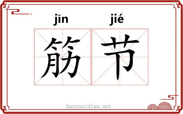 筋节 筋节