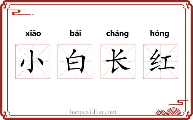 小白长红 小白长红