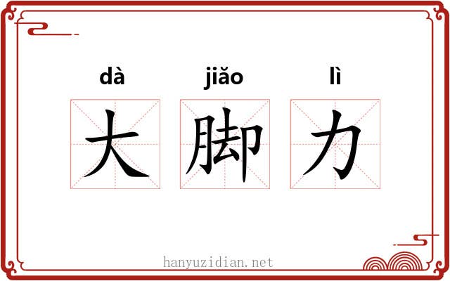 大脚力