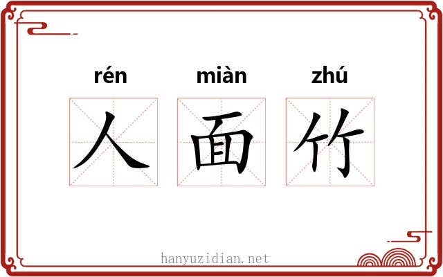 人面竹