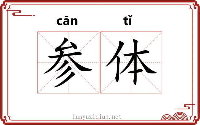 参体 参体