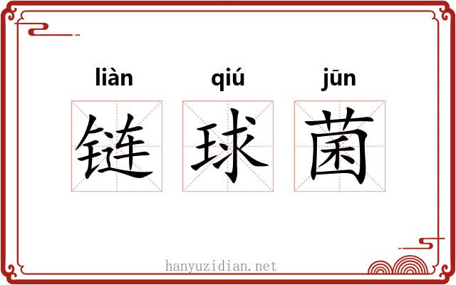 链球菌 链球菌