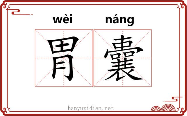 胃囊