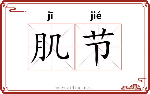 肌节 肌节