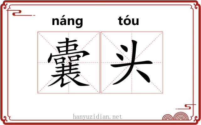囊头 囊头