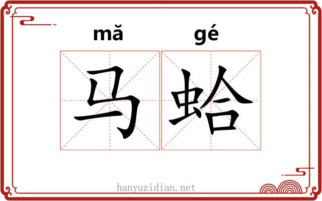 马蛤
