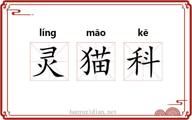 灵猫科 灵猫科
