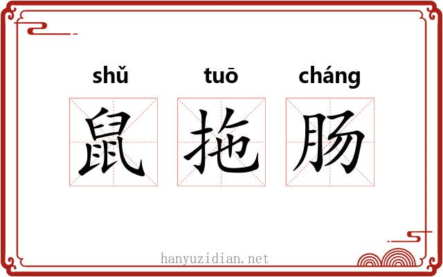 鼠拖肠 鼠拖肠