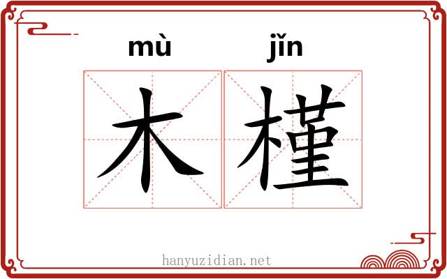 木槿 木槿