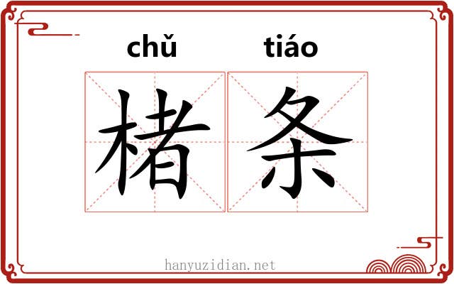 楮条
