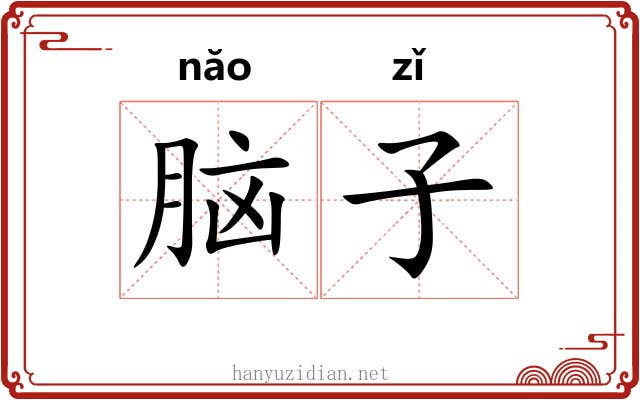 脑子 脑子
