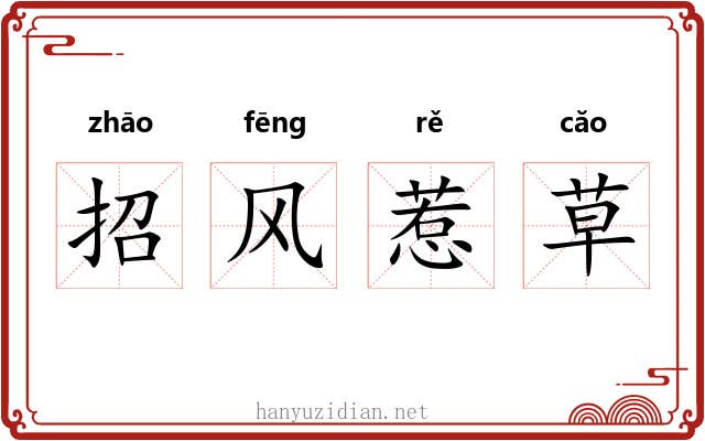 招风惹草 招风惹草