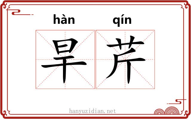 旱芹