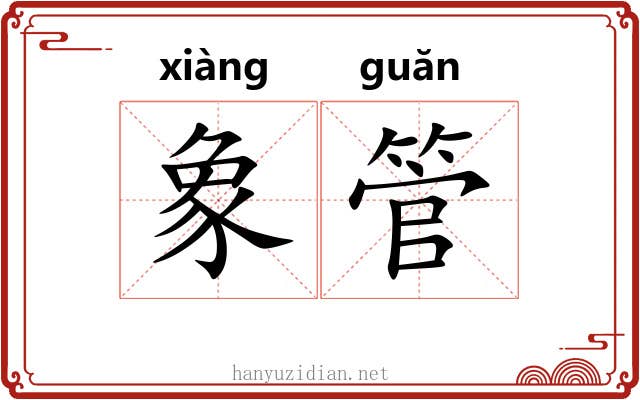 象管 象管