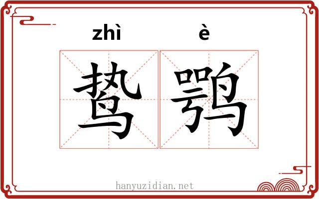 鸷鹗