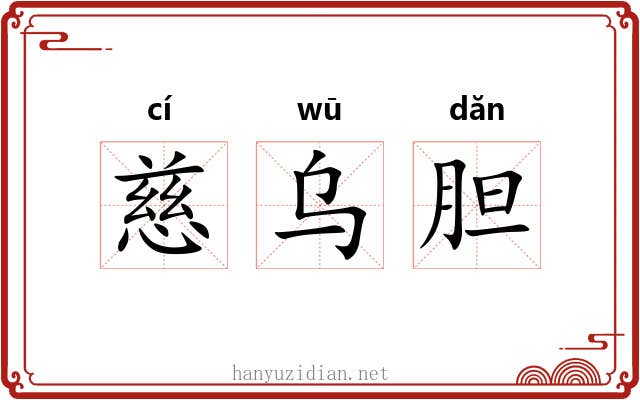 慈乌胆 慈乌胆