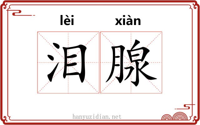 泪腺