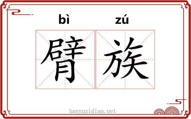 臂族 臂族