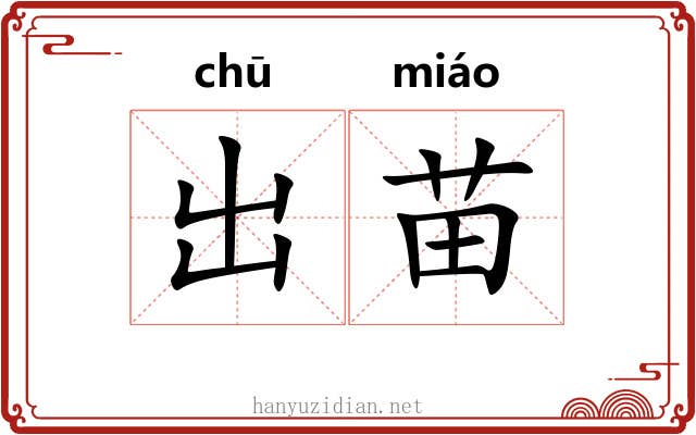 出苗
