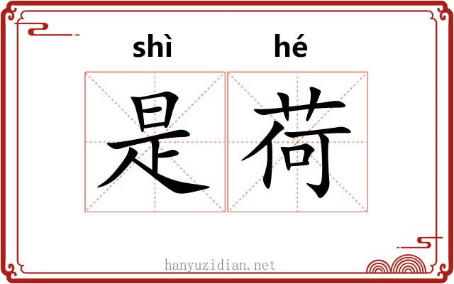 是荷 是荷