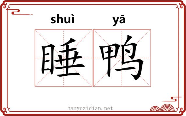 睡鸭