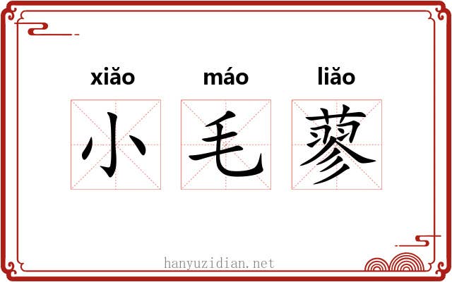 小毛蓼 小毛蓼