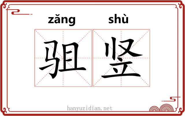 驵竖