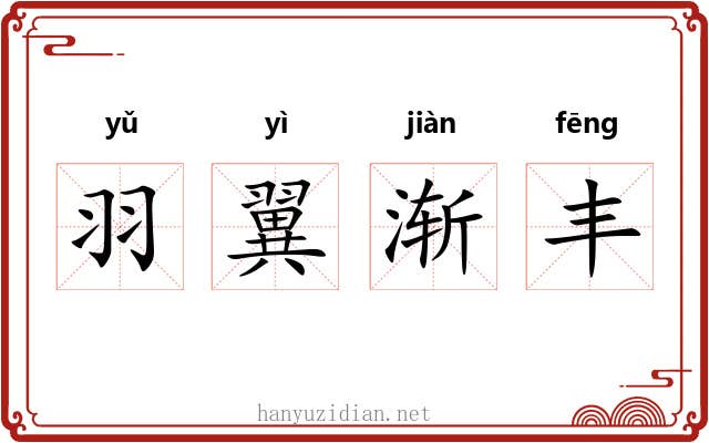羽翼渐丰 羽翼渐丰