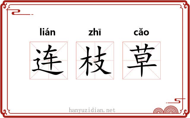 连枝草