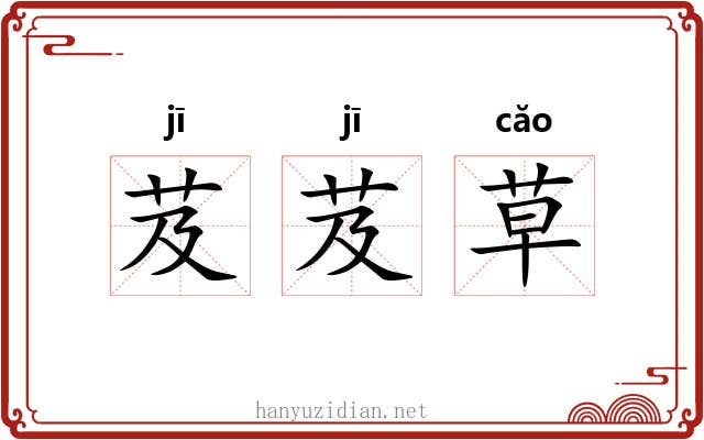 芨芨草