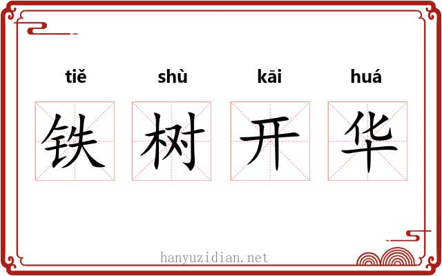 铁树开华 铁树开华