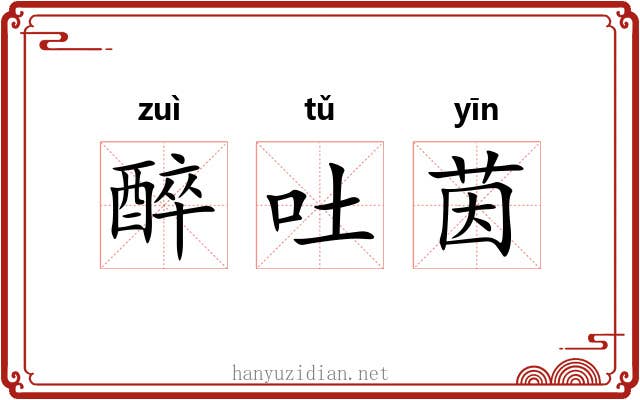 醉吐茵 醉吐茵